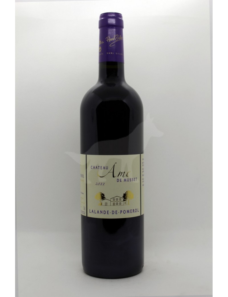 Chateau Ame de Musset - 1 Chateau Ame de Musset - 1
