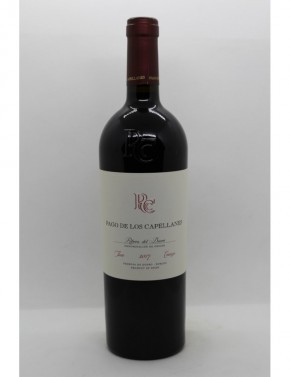 Pago de los Capellanes Crianza 2017 - 1