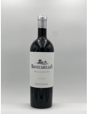 Monteabellon